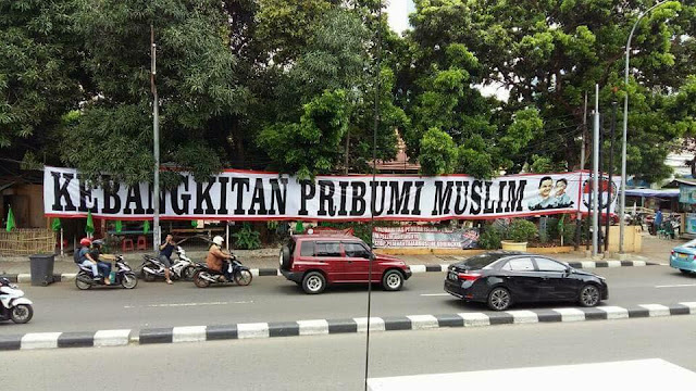 Pribumi Politik